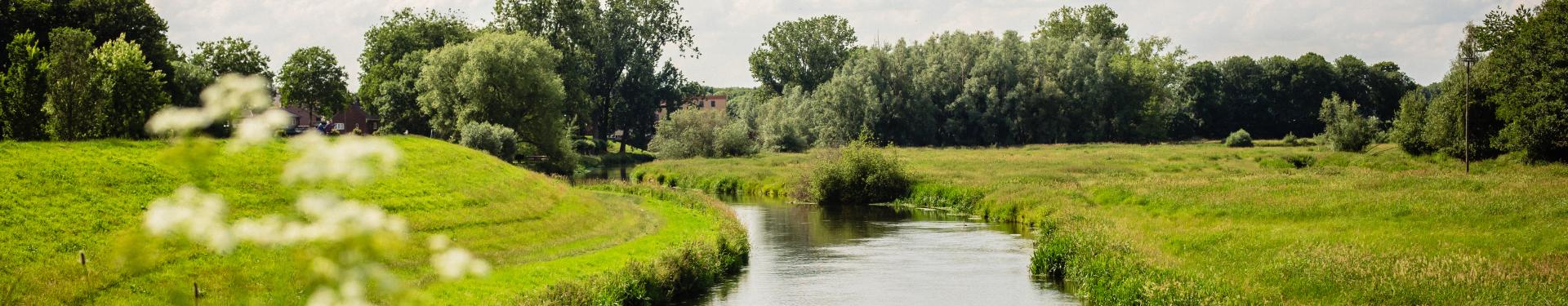 Doe mee aan de Natuurwerkdag op de Gennepse Heide