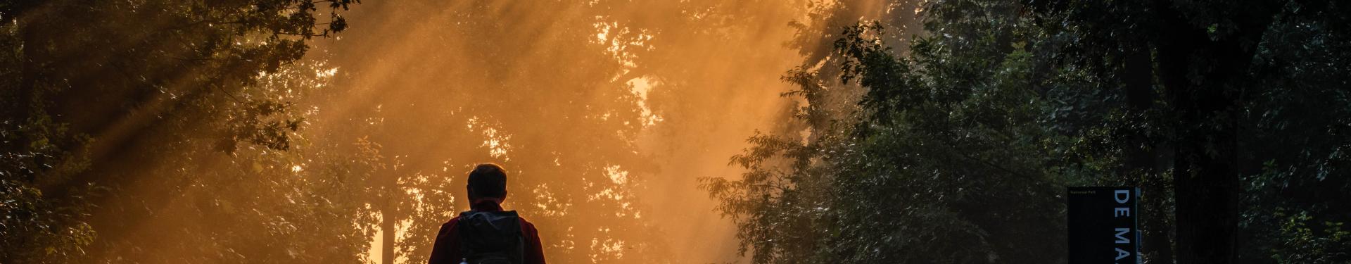 Eerste Nature Impact Day in Nationaal Park De Maasduinen